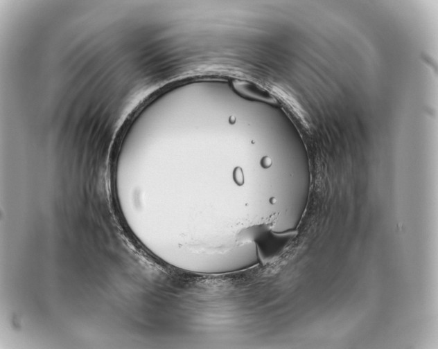 X0000095910888200802011148