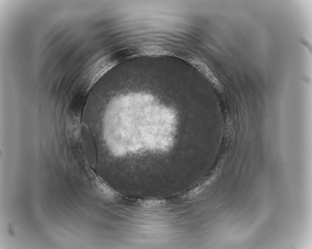 X0000095910889200802011148