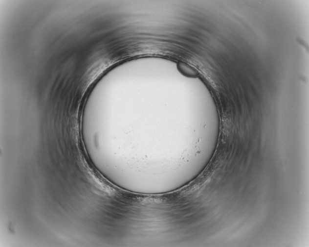 X0000095910890200802011148