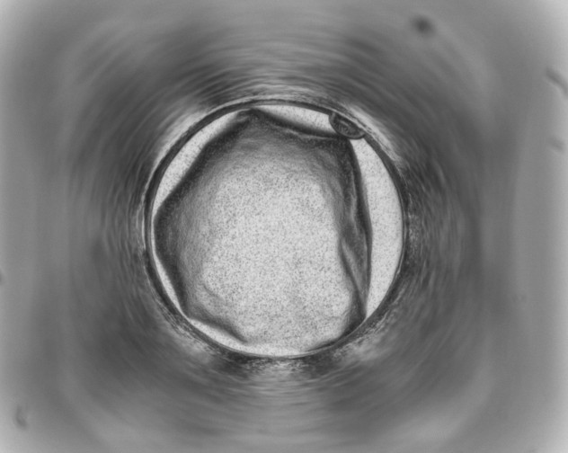 X0000095910891200802011148