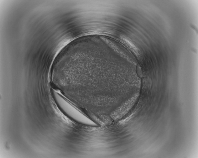 X0000095910892200802011148