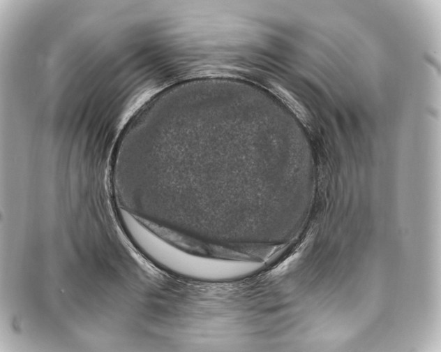 X0000095910893200802011148