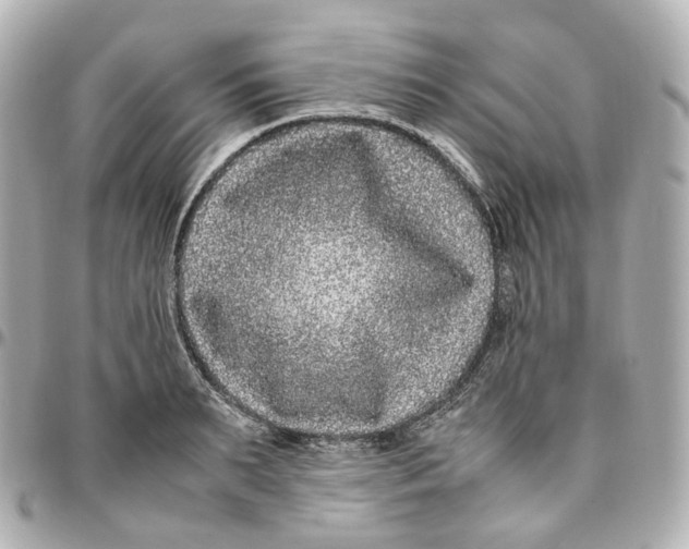 X0000095910895200802011148