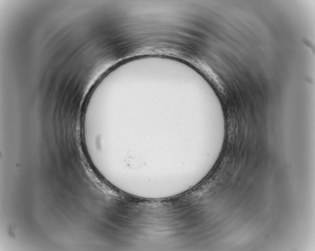 X0000095910896200802011148