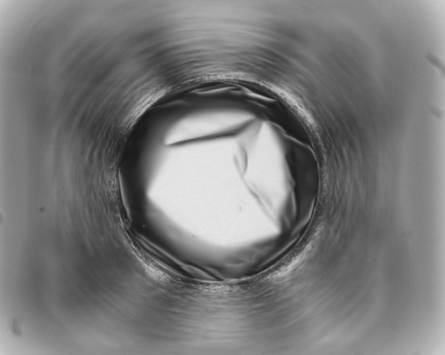 X0000095910897200802011148