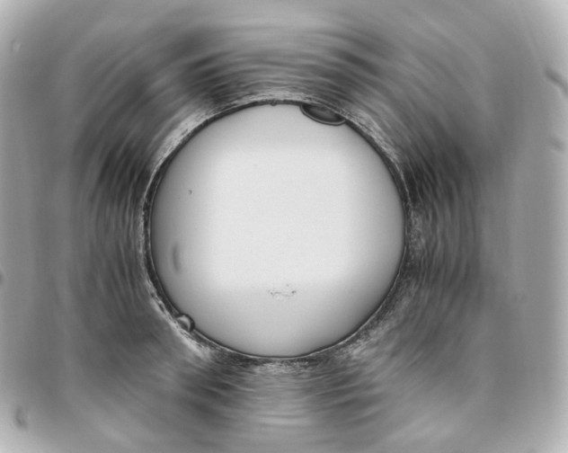 X0000095910898200802011148