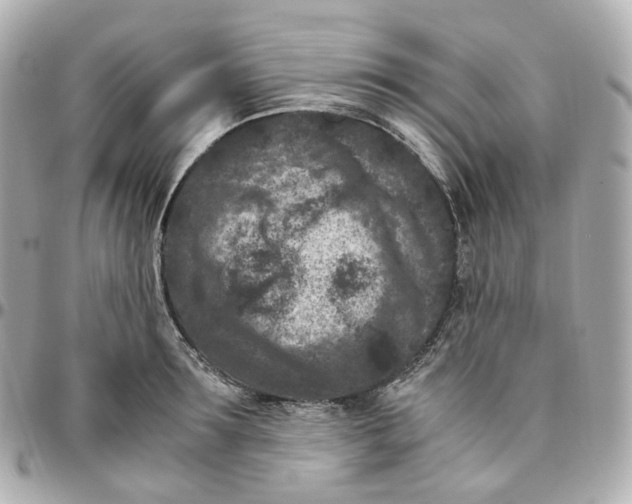 X0000095910899200802011148