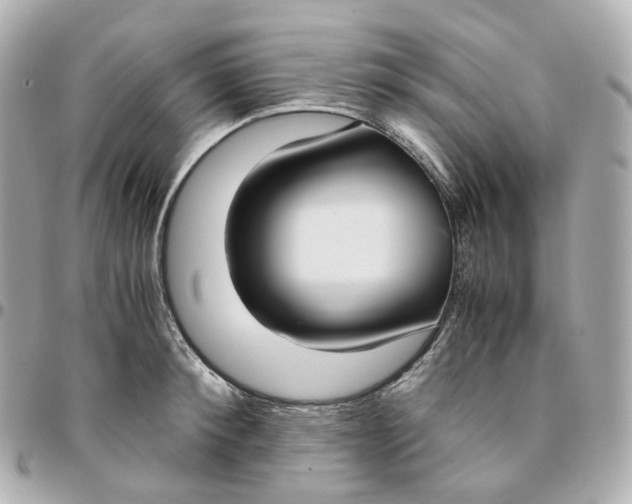 X0000095910900200802011148