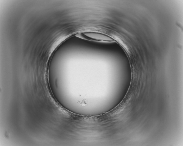 X0000095910901200802011148