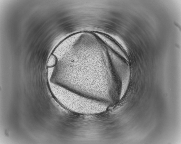 X0000095910903200802011148