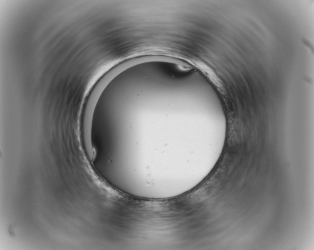 X0000095910904200802011148