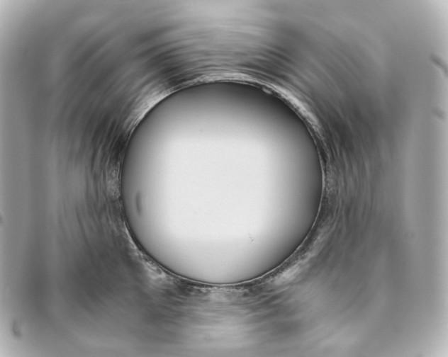 X0000095910905200802011148