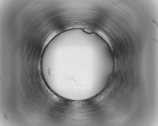 X0000095910906200802011148