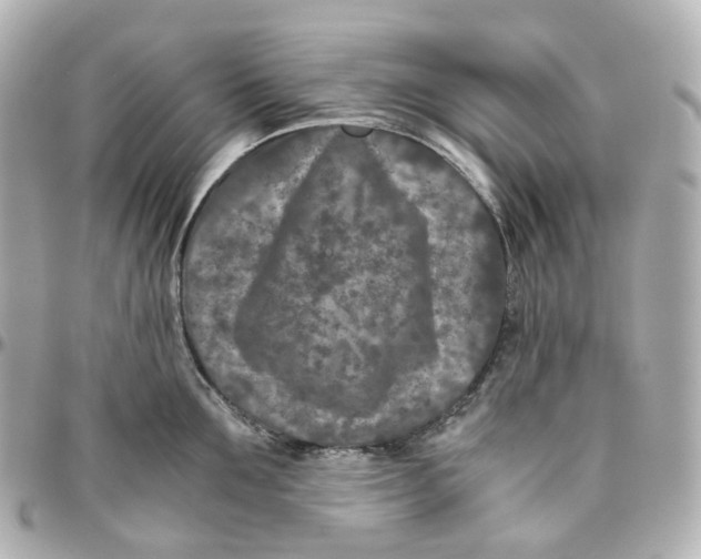 X0000095910907200802011148