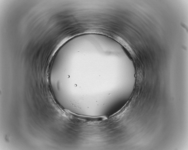 X0000095910908200802011148