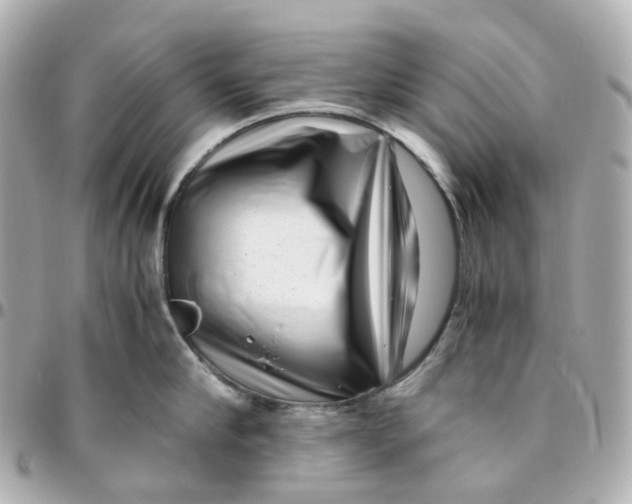 X0000095910910200802011148