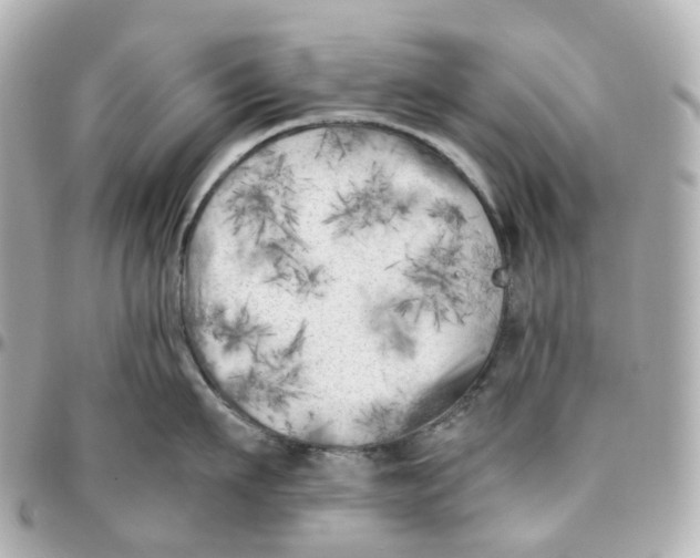 X0000095910911200802011148