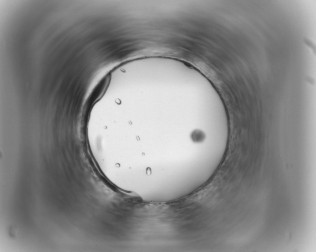 X0000095910912200802011147