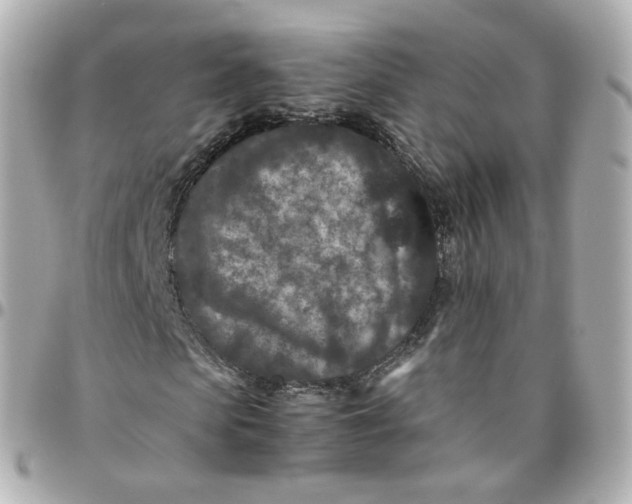 X0000095910913200802011147