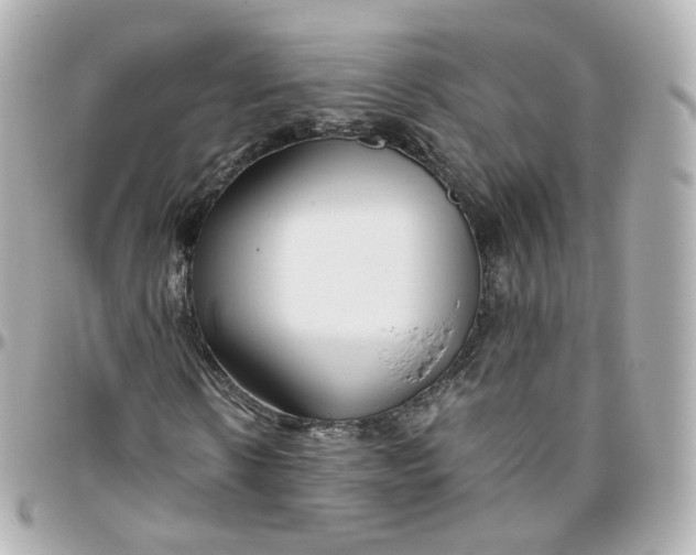 X0000095910914200802011147