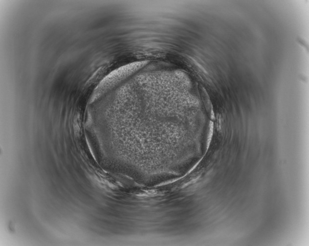 X0000095910915200802011147