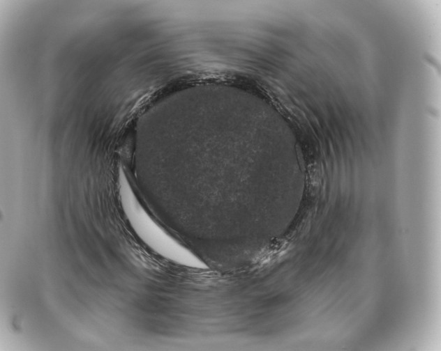 X0000095910916200802011147