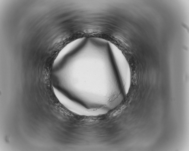 X0000095910917200802011147