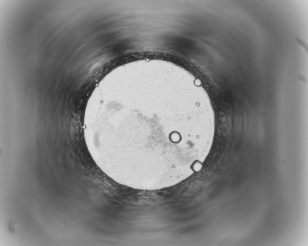 X0000095910918200802011147