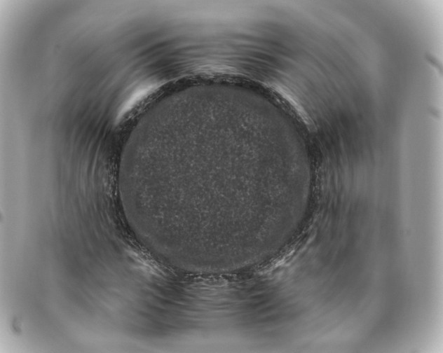 X0000095910919200802011147