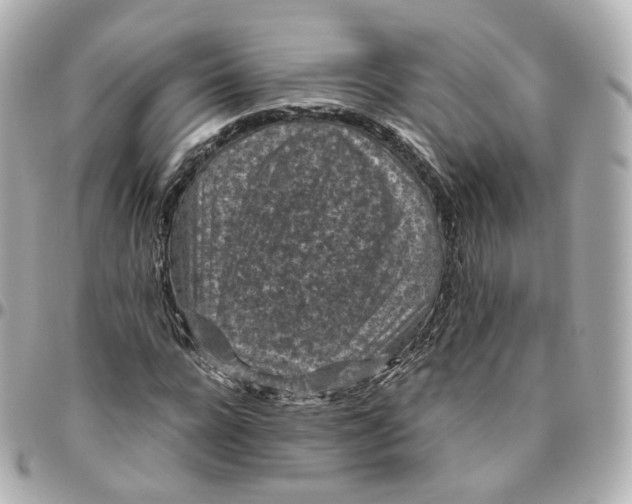 X0000095910920200802011147