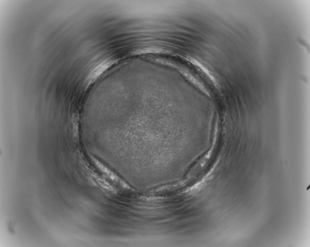 X0000095910921200802011147