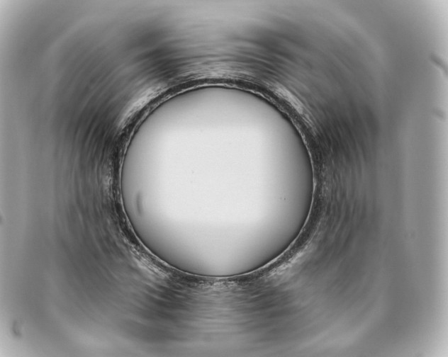 X0000095910922200802011147