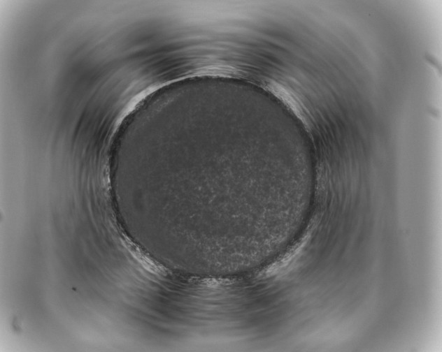 X0000095910923200802011147