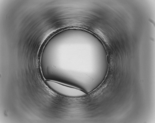 X0000095910924200802011147