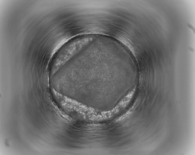 X0000095910925200802011147