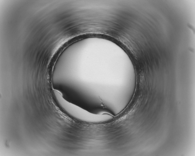 X0000095910926200802011147