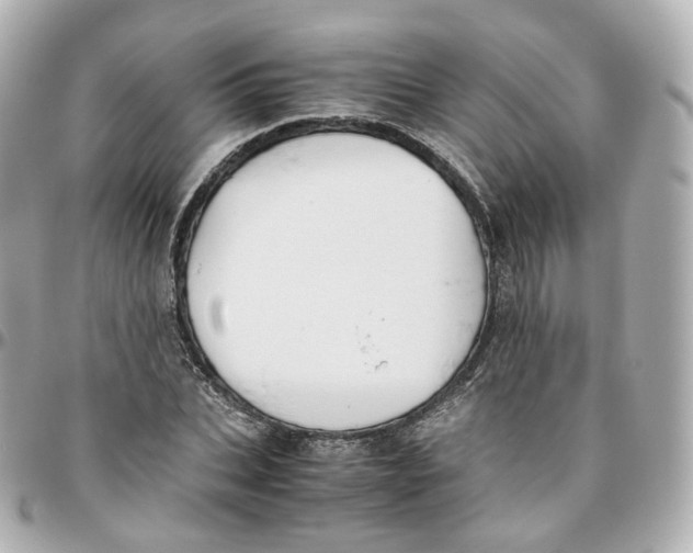 X0000095910927200802011147