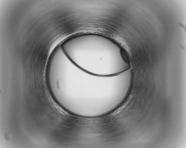 X0000095910928200802011147