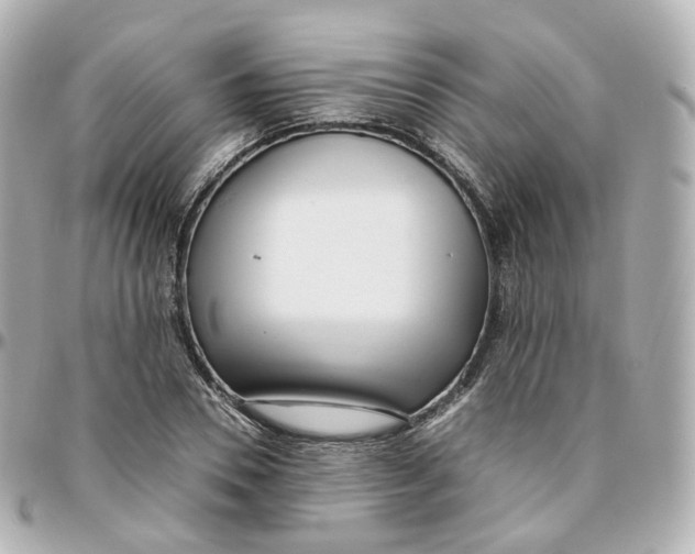 X0000095910930200802011147