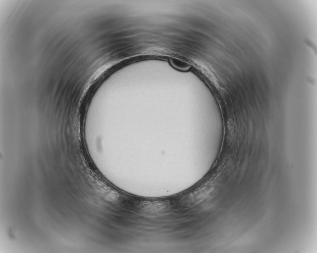 X0000095910931200802011147