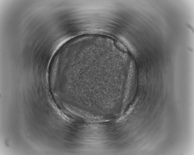 X0000095910932200802011147