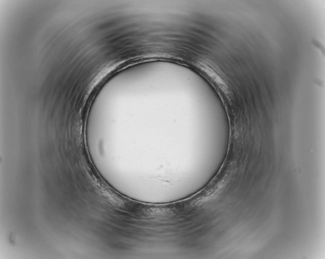 X0000095910933200802011147