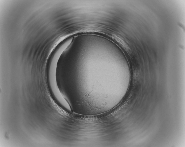 X0000095910934200802011147