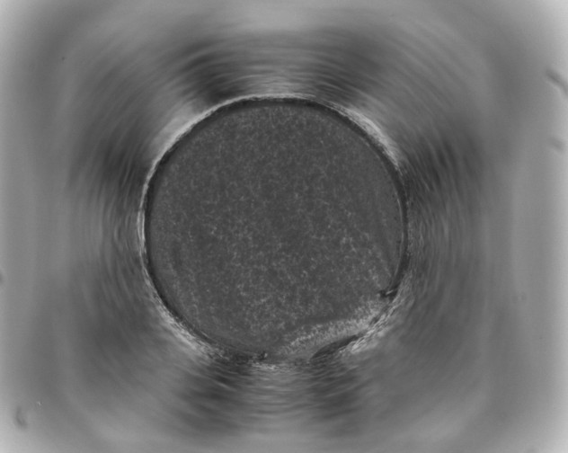 X0000095910935200802011147