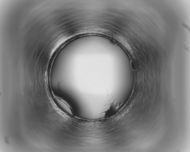 X0000095910936200802011147