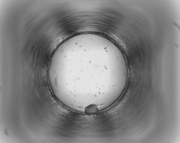 X0000095910937200802011147