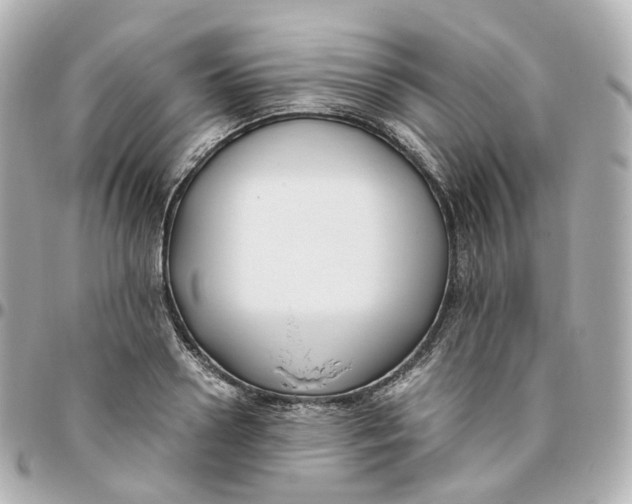 X0000095910938200802011147