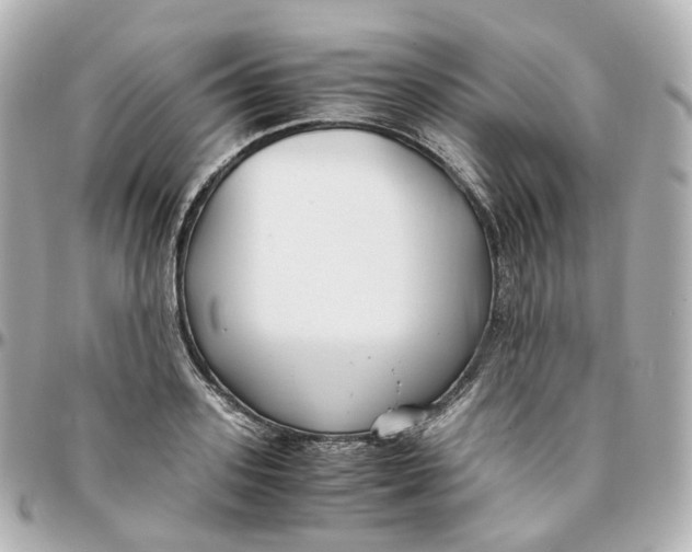 X0000095910939200802011147