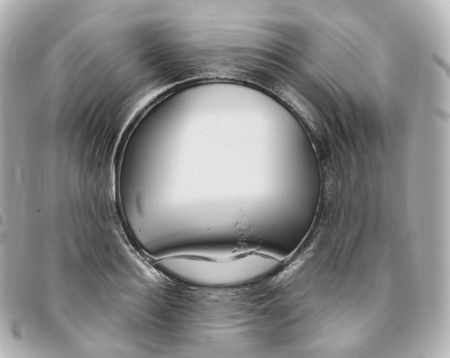 X0000095910940200802011147