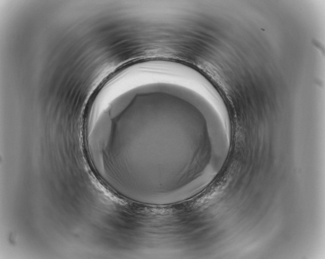 X0000095910941200802011147